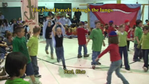 heart-circ-resp400-225